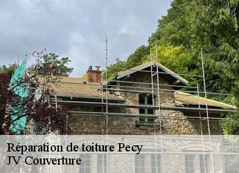 Réparation de toiture 77970