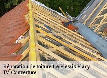 Réparation de toiture le-plessis-placy-77440 Artisan Romero David