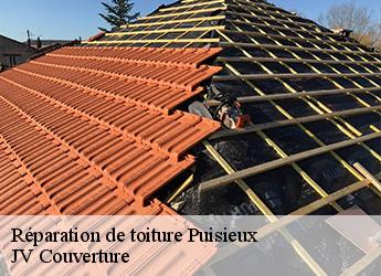 Réparation de toiture 77139
