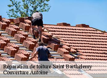 Réparation de toiture  77320
