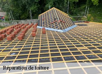 Réparation de toiture 77930