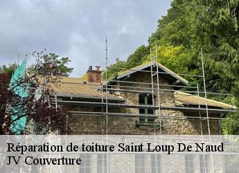 Réparation de toiture 77650