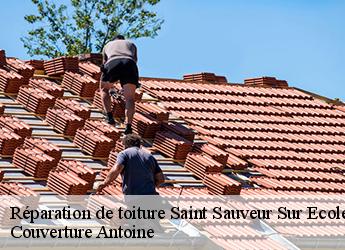 Réparation de toiture  77930