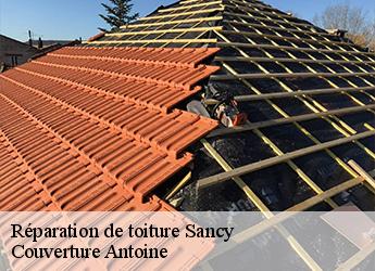 Réparation de toiture  sancy-77580 Couverture Antoine