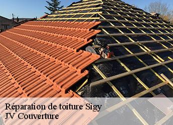 Réparation de toiture 77520