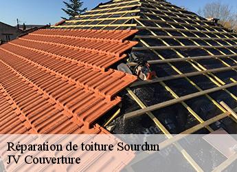 Réparation de toiture 77171