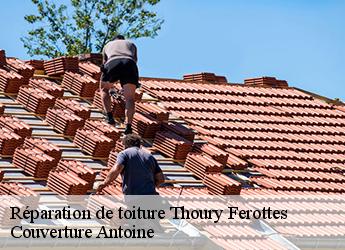 Réparation de toiture  77156