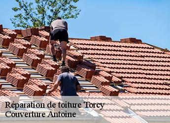 Réparation de toiture  77200