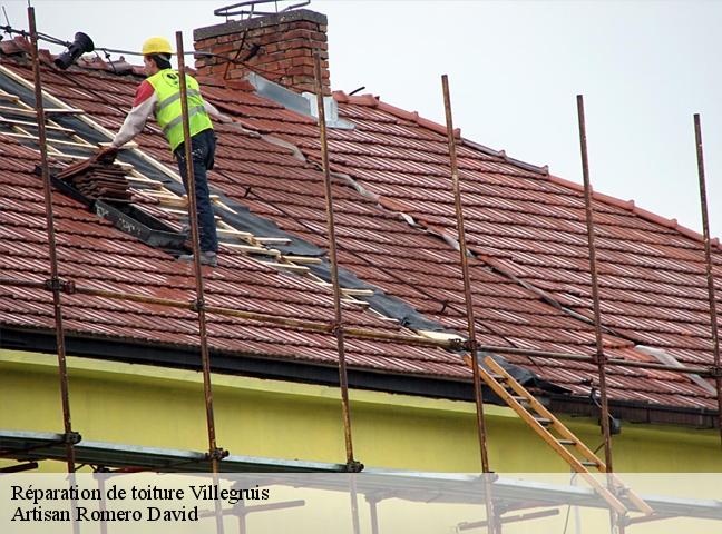 Réparation de toiture  villegruis-77560 Artisan Romero David