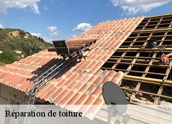Réparation de toiture