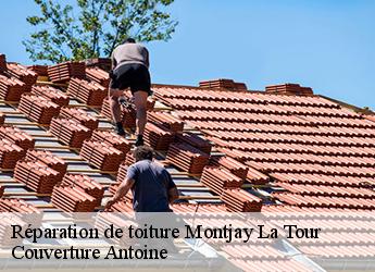 Réparation de toiture  77410