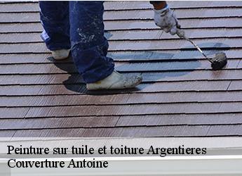 Peinture sur tuile et toiture  77390