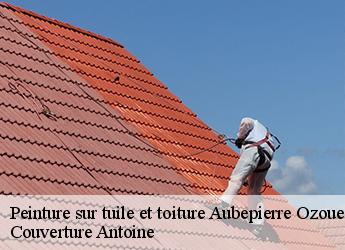 Peinture sur tuile et toiture  aubepierre-ozouer-le-repos-77720 Couverture Antoine