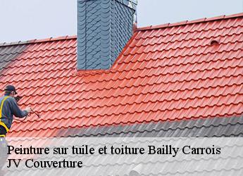 Peinture sur tuile et toiture bailly-carrois-77720 JV Couverture
