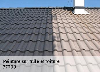 Peinture sur tuile et toiture  77700