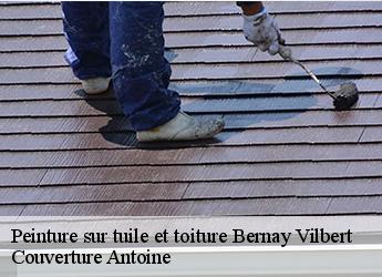 Peinture sur tuile et toiture  77540