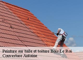 Peinture sur tuile et toiture  bois-le-roi-77590 Couverture Antoine