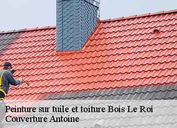 Peinture sur tuile et toiture