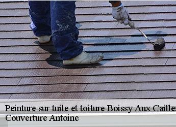 Peinture sur tuile et toiture  77760