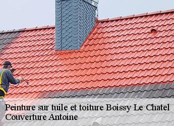 Peinture sur tuile et toiture