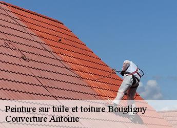 Peinture sur tuile et toiture  bougligny-77570 Couverture Antoine