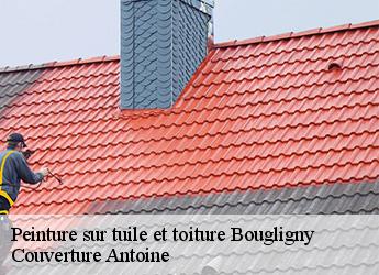 Peinture sur tuile et toiture