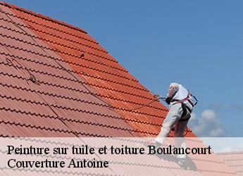 Peinture sur tuile et toiture  boulancourt-77760 Couverture Antoine