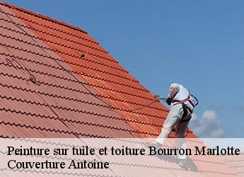 Peinture sur tuile et toiture bourron-marlotte-77780 Couverture Antoine