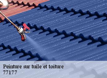 Peinture sur tuile et toiture  77177