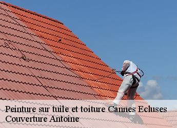 Peinture sur tuile et toiture  cannes-ecluses-77130 Couverture Antoine