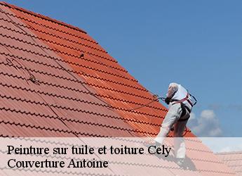 Peinture sur tuile et toiture  cely-77930 Couverture Antoine