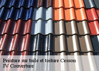 Peinture sur tuile et toiture 77240