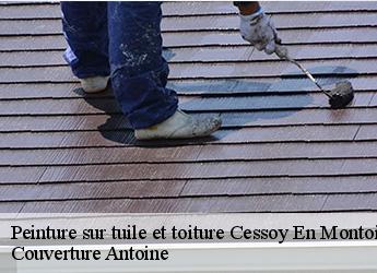 Peinture sur tuile et toiture  77520