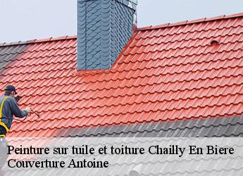 Peinture sur tuile et toiture