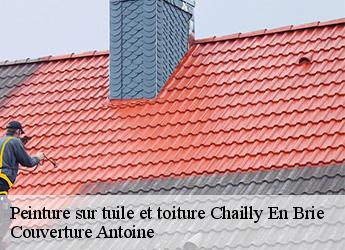 Peinture sur tuile et toiture