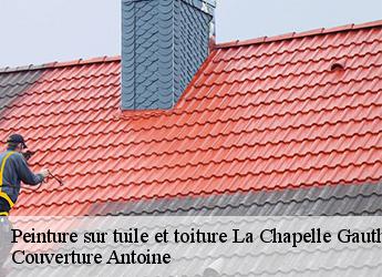 Peinture sur tuile et toiture