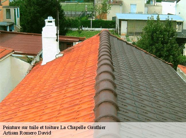 Peinture sur tuile et toiture  la-chapelle-gauthier-77720 Artisan Romero David