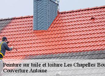 Peinture sur tuile et toiture