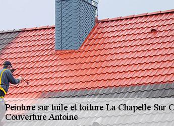 Peinture sur tuile et toiture