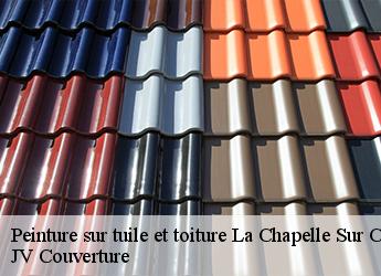 Peinture sur tuile et toiture 77580