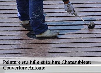 Peinture sur tuile et toiture 77370