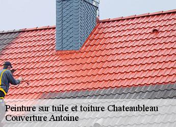 Peinture sur tuile et toiture