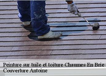 Peinture sur tuile et toiture  77390
