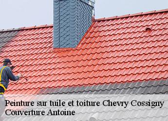 Peinture sur tuile et toiture