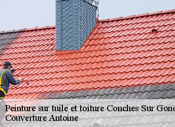 Peinture sur tuile et toiture