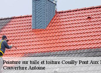 Peinture sur tuile et toiture