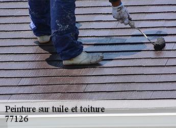 Peinture sur tuile et toiture 77126