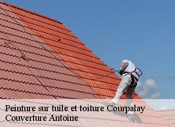 Peinture sur tuile et toiture  courpalay-77540 Couverture Antoine