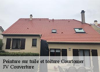 Peinture sur tuile et toiture