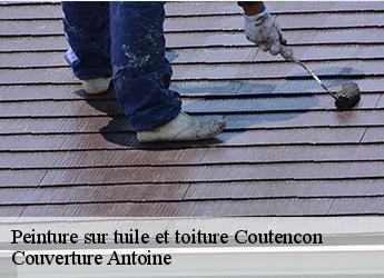 Peinture sur tuile et toiture 77154